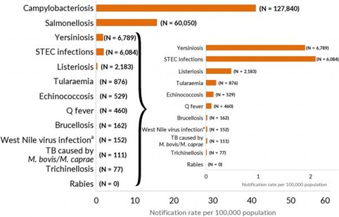 Campylobacter and Human Health: A Retrospective Analysis
